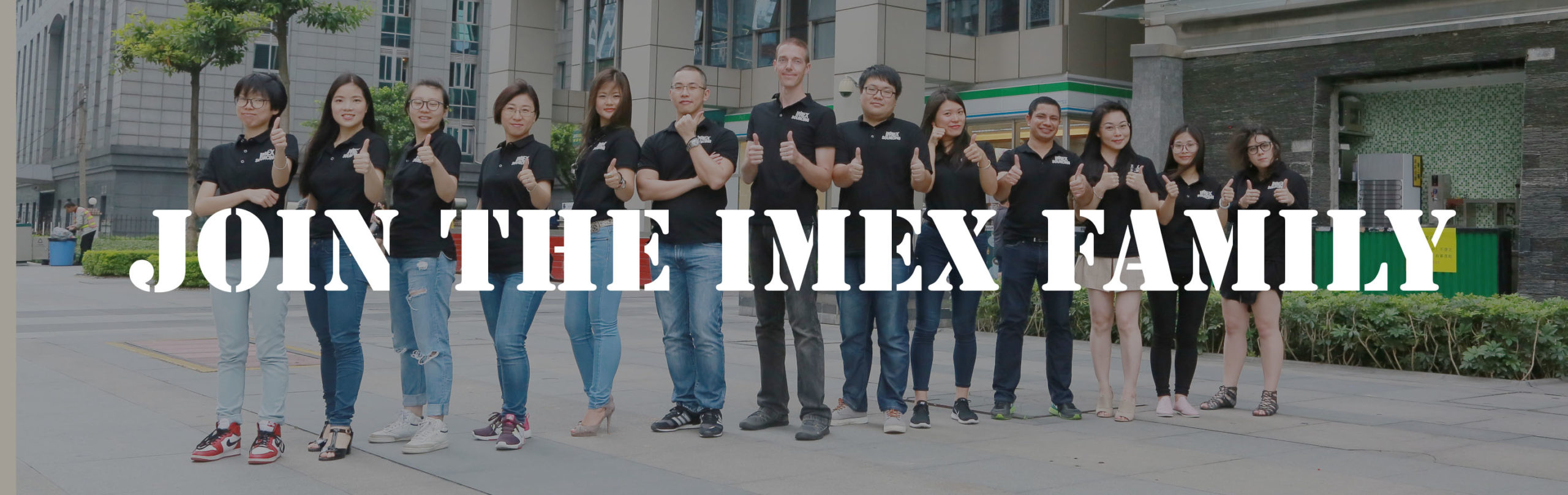 IMEX Team
